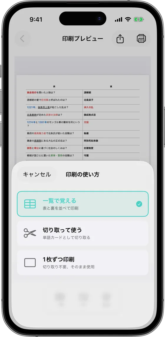 「印刷プレビュー」で「印刷の使い方」を選んでいる画面