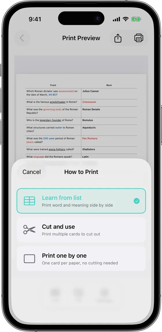 The "Print Preview" screen with the "How to Print" options open